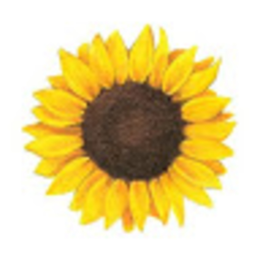 Meet your Posher, Deanna